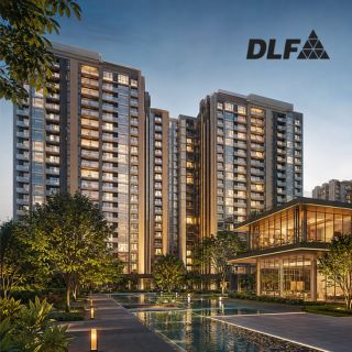 DLF Group Logo